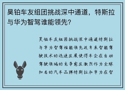 昊铂车友组团挑战深中通道，特斯拉与华为智驾谁能领先？
